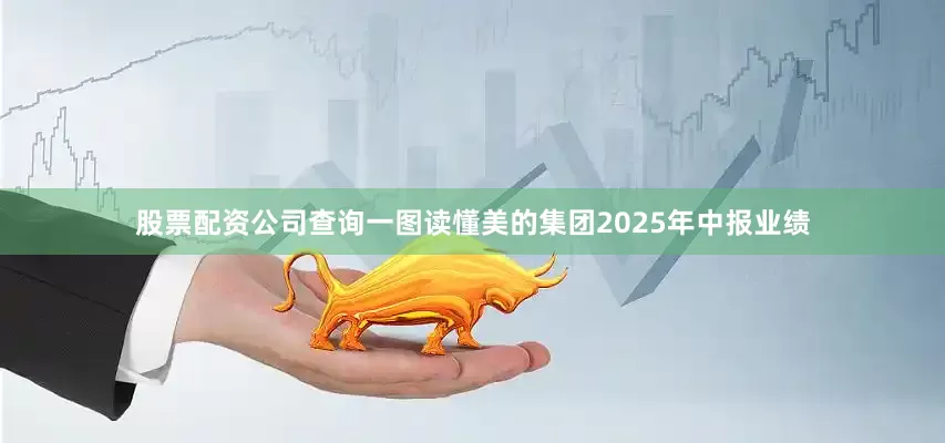 股票配资公司查询一图读懂美的集团2025年中报业绩
